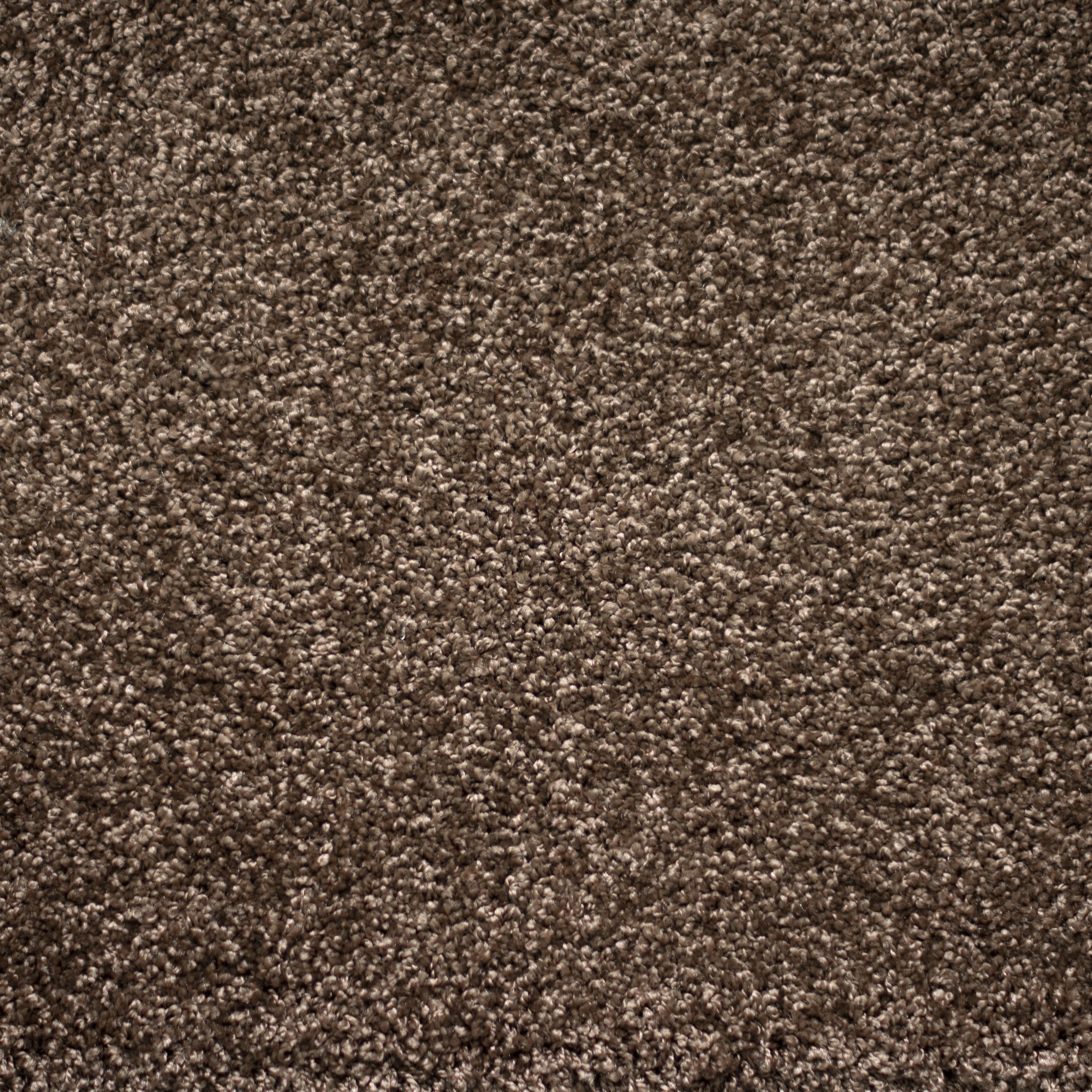 Ковролин "Зартекс" Tesoro 156 коричневый (4м) — купить в Бийске