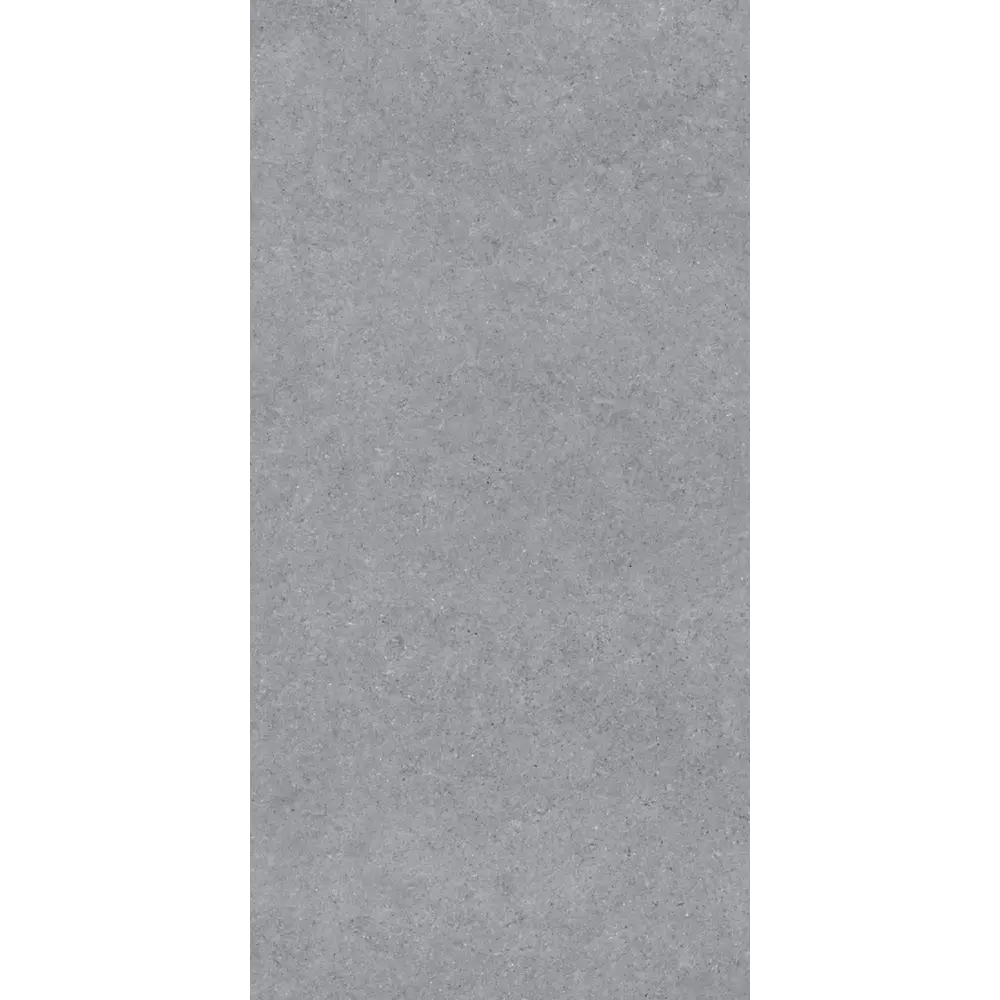 Керамогранит "Sonex" Forever Gris Matt 60x120x0.82 матовый цвет серый камень — купить в Бийске