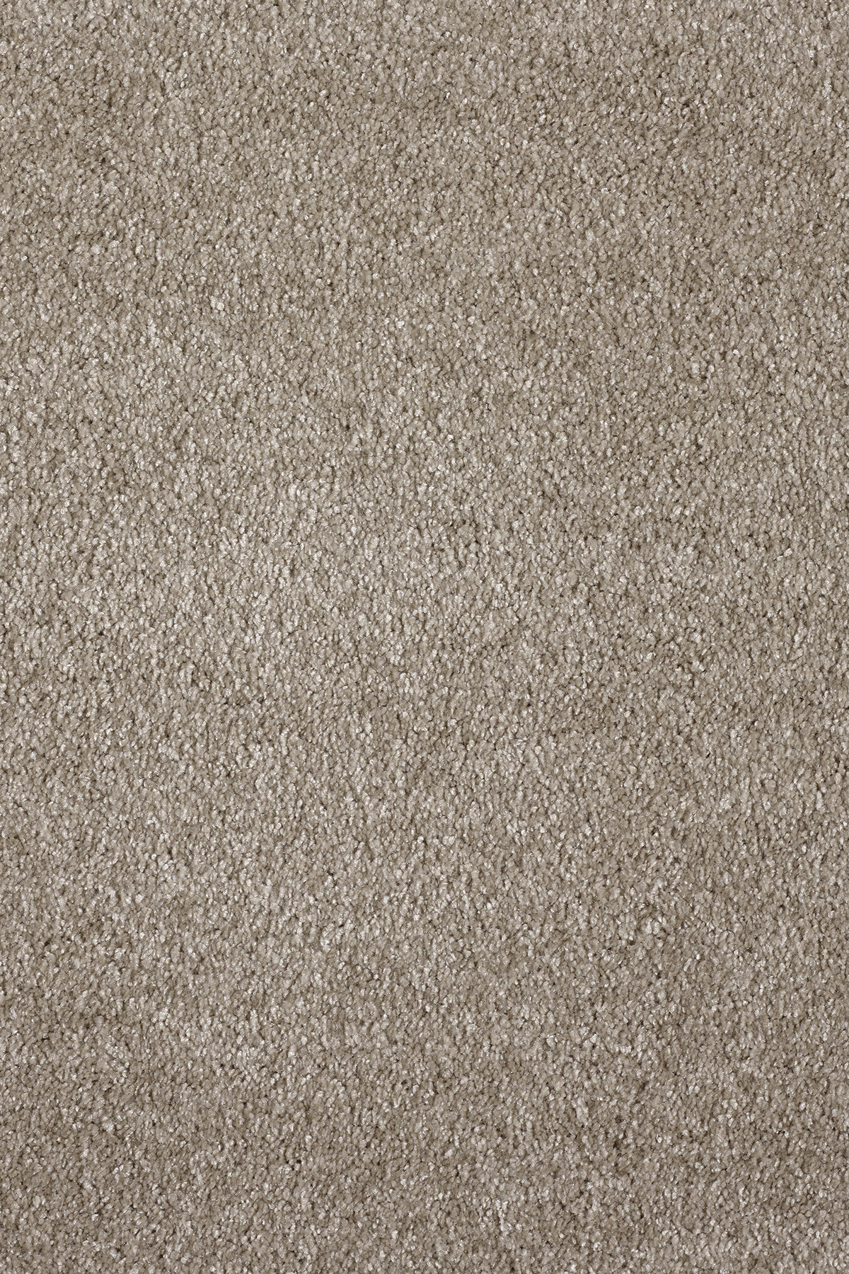 Ковровое покрытие "Bonkeel" Parana 34 (ширина 4м/5м) — купить в Бийске