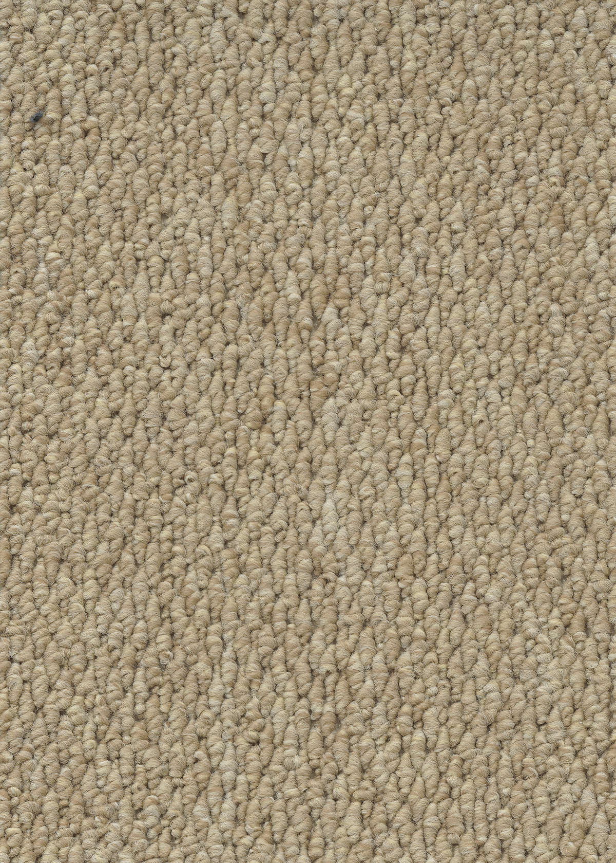 Ковровое покрытие "Bonkeel" Skye 50 (ширина 4м) — купить в Бийске